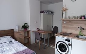 Apartman U Sevce - Brno
